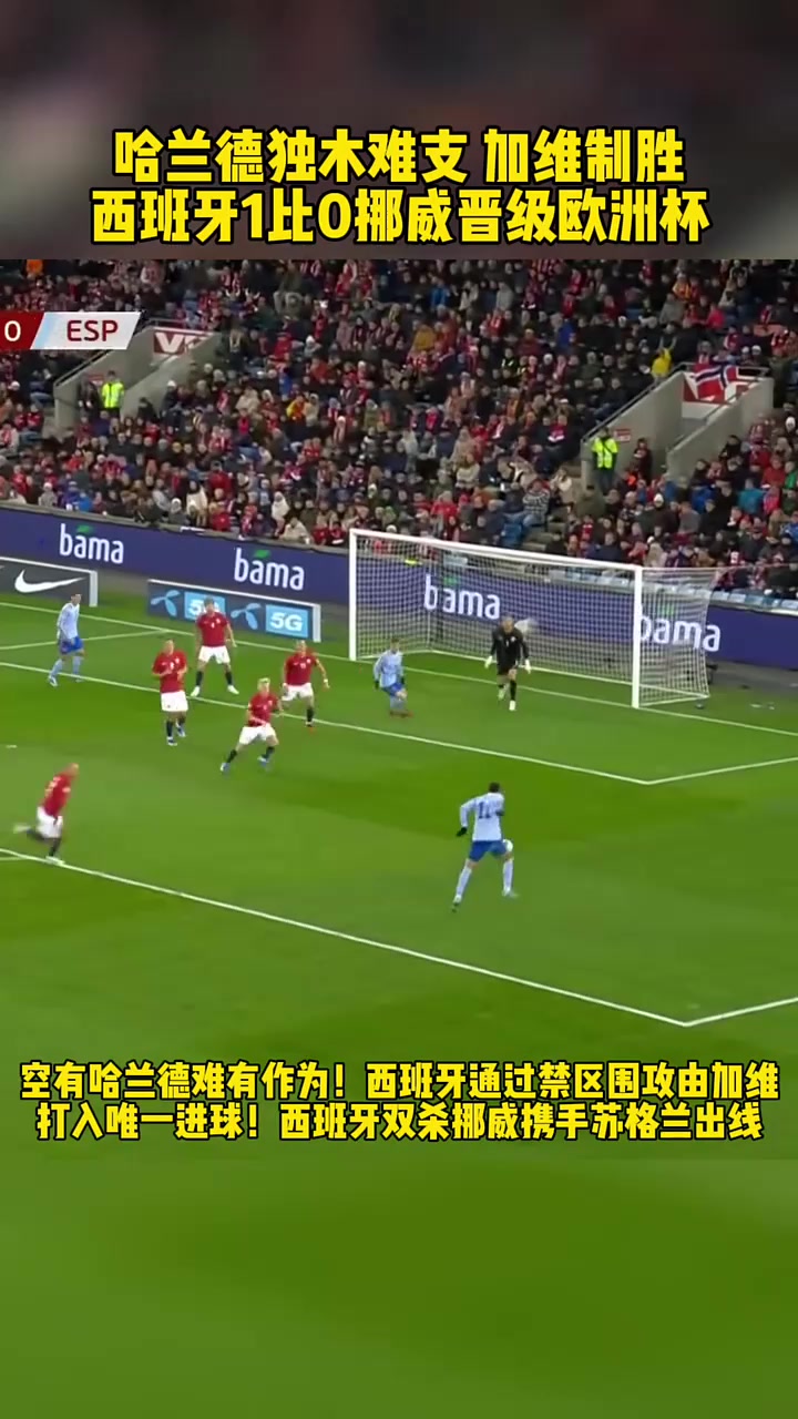 挪威国家队遭遇困境，欧洲杯预选赛成绩不佳
