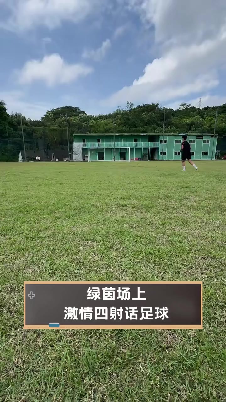 绿茵场上较量激烈，谁能做到最好的简单介绍