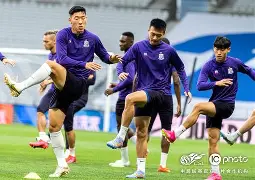 多芬迎战蒙图瓦，实力对比获肯定